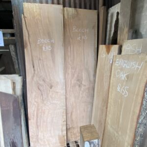 English Beech (right)