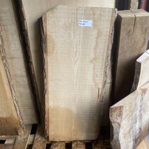 English Ash 11